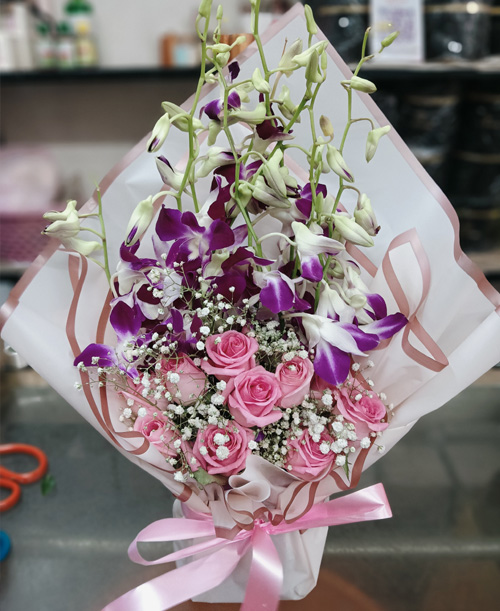 Orchid Grace and Rosy Charm