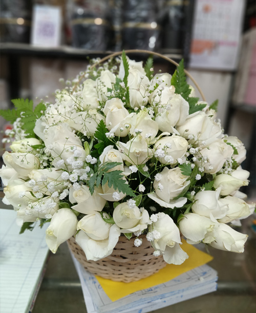 Pure Elegance in White