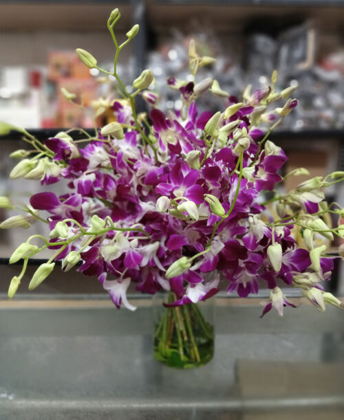 Orchid Grace Vase